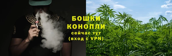 эйфоретик Няндома