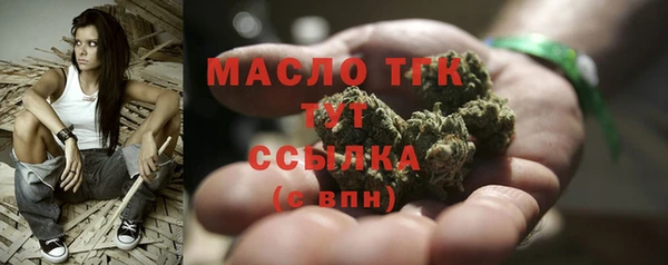 эйфоретик Няндома