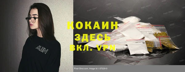 эйфоретик Няндома