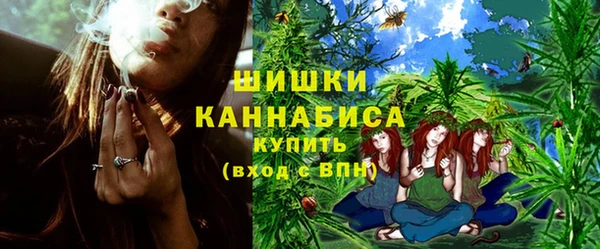 эйфоретик Няндома