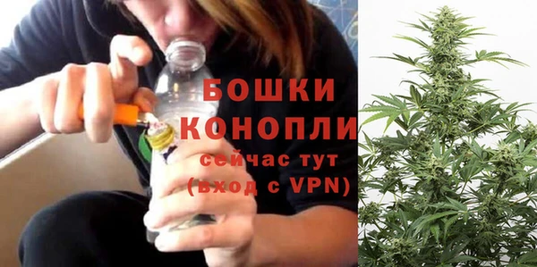 эйфоретик Няндома