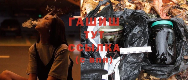 эйфоретик Няндома