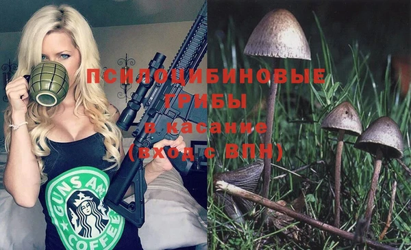 эйфоретик Няндома