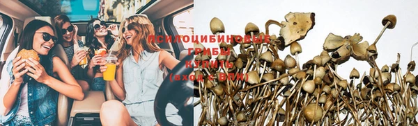 эйфоретик Няндома